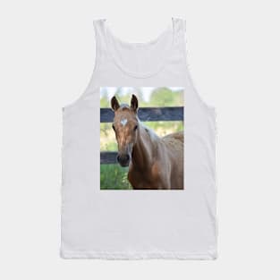 Palomino colt Tank Top